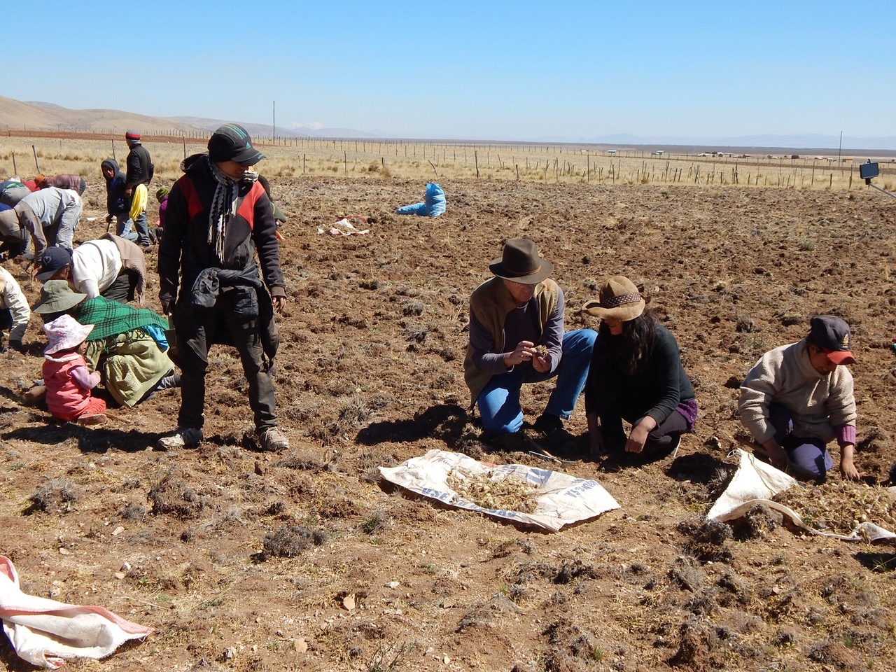 David Bunting with maca farmers in peru